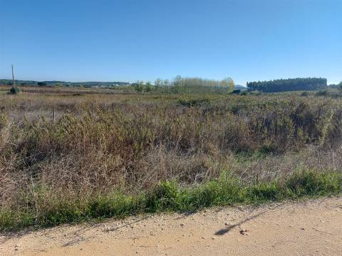 Venda judicial de terreno rústico em Cabanas de Torres, Alenquer