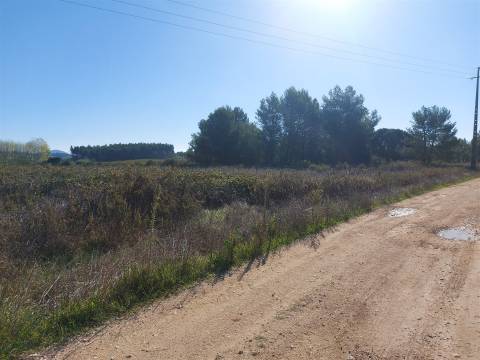 Venda judicial de terreno rústico em Cabanas de Torres, Alenquer