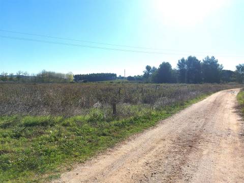 Venda judicial de terreno rústico em Cabanas de Torres, Alenquer