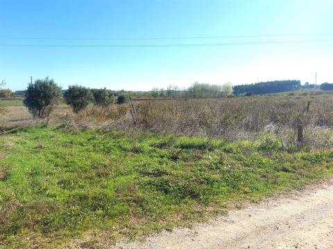 Venda judicial de terreno rústico em Cabanas de Torres, Alenquer