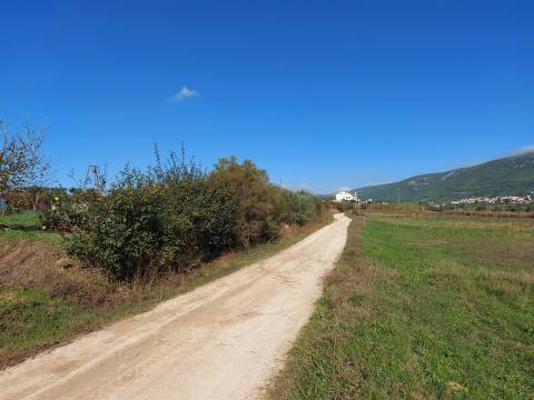 Venda judicial de terreno rústico em Cabanas de Torres, Alenquer