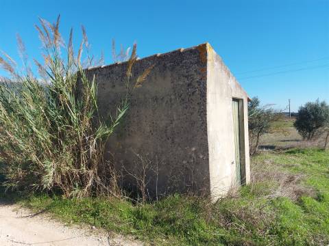 Venda judicial de terreno rústico em Cabanas de Torres, Alenquer