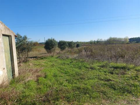 Venda judicial de terreno rústico em Cabanas de Torres, Alenquer