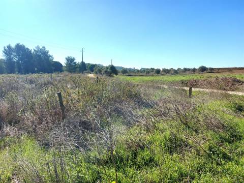 Venda judicial de terreno rústico em Cabanas de Torres, Alenquer