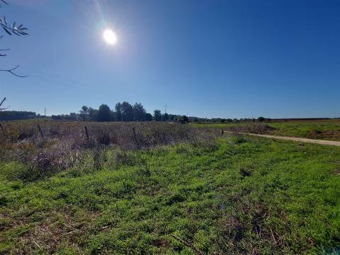 Venda judicial de terreno rústico em Cabanas de Torres, Alenquer