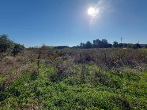 Venda judicial de terreno rústico em Cabanas de Torres, Alenquer