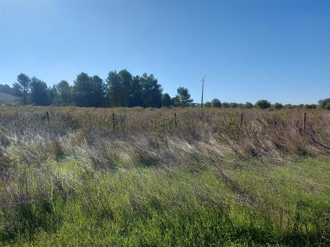Venda judicial de terreno rústico em Cabanas de Torres, Alenquer