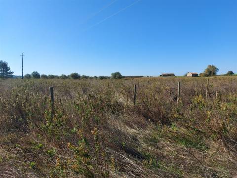 Venda judicial de terreno rústico em Cabanas de Torres, Alenquer