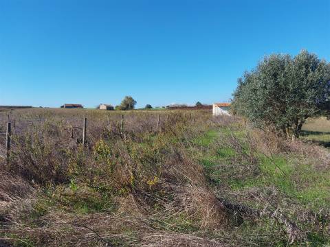Venda judicial de terreno rústico em Cabanas de Torres, Alenquer