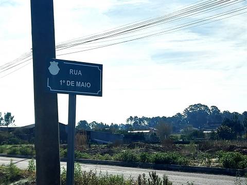 Terreno rústico em Covão do Lobo, Vagos