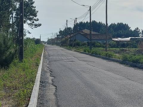 Terreno rústico em Covão do Lobo, Vagos