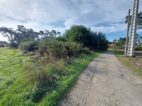 Terreno rústico em Covão do Lobo, Vagos