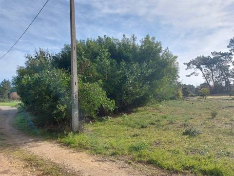 Terreno rústico em Covão do Lobo, Vagos
