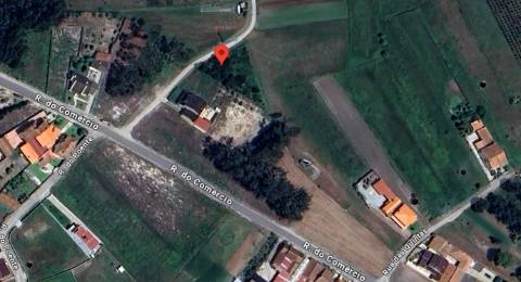 Terreno rústico em Covão do Lobo, Vagos