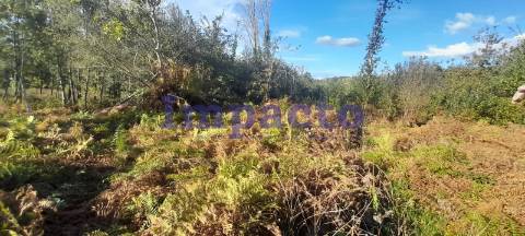 Terreno para construção em Lobão, Santa Maria da Feira