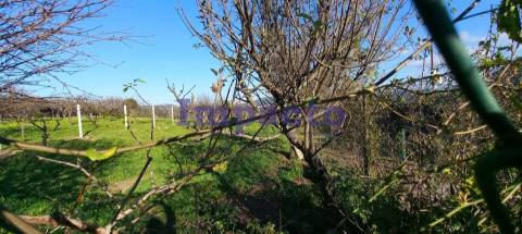 Armazém em São João da Madeira