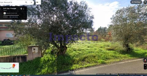 Terreno urbano, plano em Anadia Aveiro