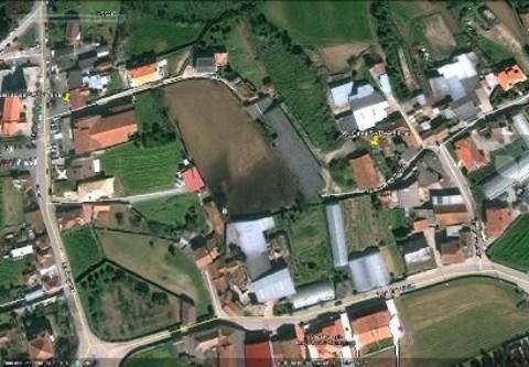 Terreno agricola com vacaria - Lugar de Pereira, São Vicente de Pereira