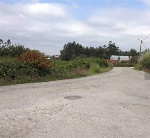 Terreno para construção em Palmaz, Oliveira de Azeméis.