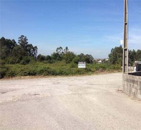 Terreno para construção em Palmaz, Oliveira de Azeméis.