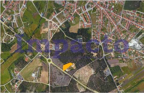 Terreno Rústico em Ovar.