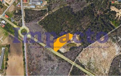 Terreno Rústico em Ovar.