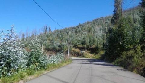 Terreno rústico em Castelo de Paiva.