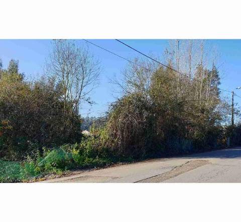 Terreno rústico em Espinho