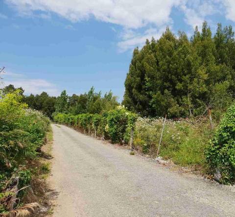 Terreno rústico em Espinho