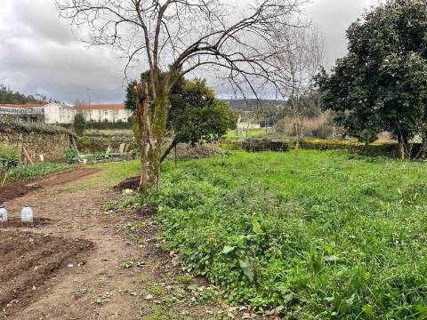 Ruína em Milheirós de Poiares, Santa Maria da Feira