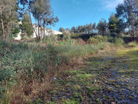 Venda Judicial de Terreno Urbano na Zona Industrial das Mimosas