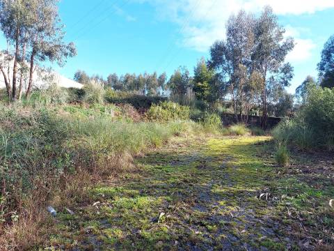 Venda Judicial de Terreno Urbano na Zona Industrial das Mimosas