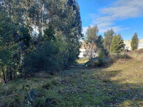Venda Judicial de Terreno Urbano na Zona Industrial das Mimosas