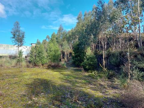 Venda Judicial de Terreno Urbano na Zona Industrial das Mimosas