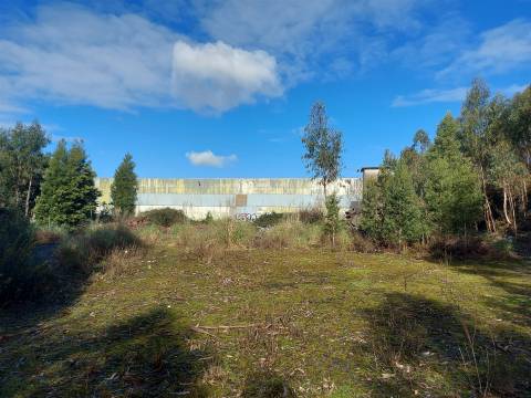 Venda Judicial de Terreno Urbano na Zona Industrial das Mimosas