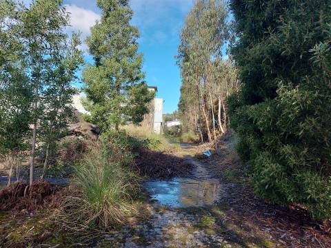 Venda Judicial de Terreno Urbano na Zona Industrial das Mimosas