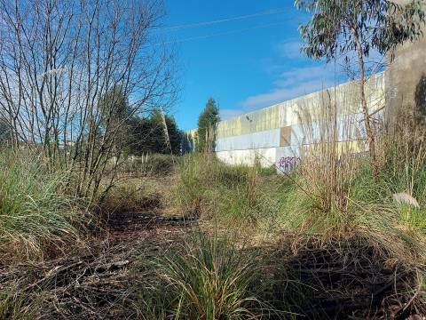 Venda Judicial de Terreno Urbano na Zona Industrial das Mimosas