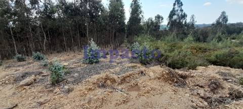 Terreno rústico em Milheirós de Poiares, Santa Maria da Feira.