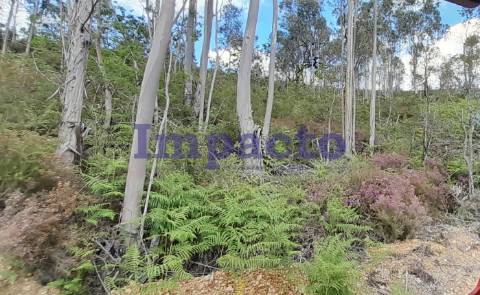 Terreno rústico em Milheirós de Poiares, Santa Maria da Feira.