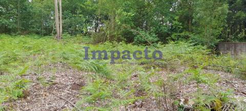 Terreno rústico em Milheirós de Poiares, Santa Maria da Feira.