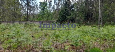 Terreno rústico em Milheirós de Poiares, Santa Maria da Feira.