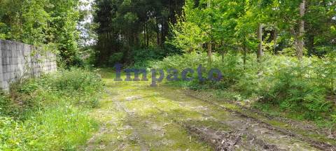 Terreno rústico em Milheirós de Poiares, Santa Maria da Feira.