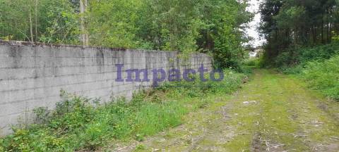Terreno rústico em Milheirós de Poiares, Santa Maria da Feira.