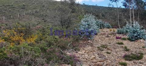 Terreno rústico em Milheirós de Poiares, Santa Maria da Feira.