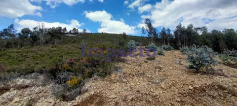 Terreno rústico em Milheirós de Poiares, Santa Maria da Feira.