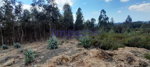 Terreno rústico em Milheirós de Poiares, Santa Maria da Feira.
