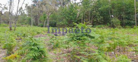 Terreno rústico em Milheirós de Poiares, Santa Maria da Feira.
