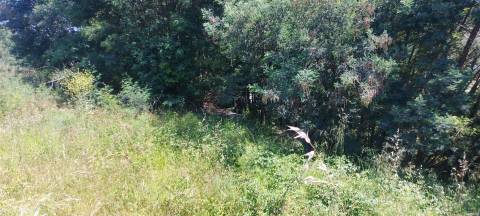 Venda judicial de lote de terreno na Zona Industrial do Alto Padrão
