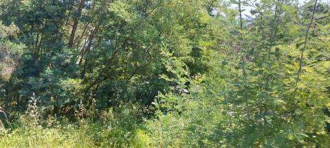 Venda judicial de lote de terreno na Zona Industrial do Alto Padrão