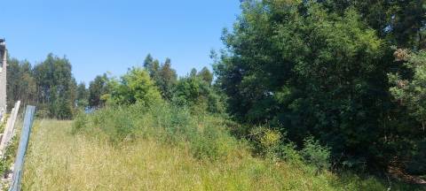 Venda judicial de lote de terreno na Zona Industrial do Alto Padrão